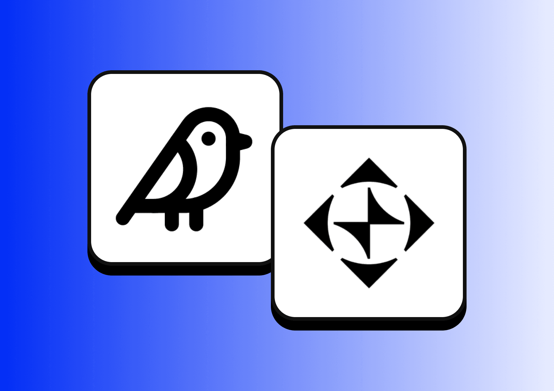 MarqVision is building a global startup with Cuckoo